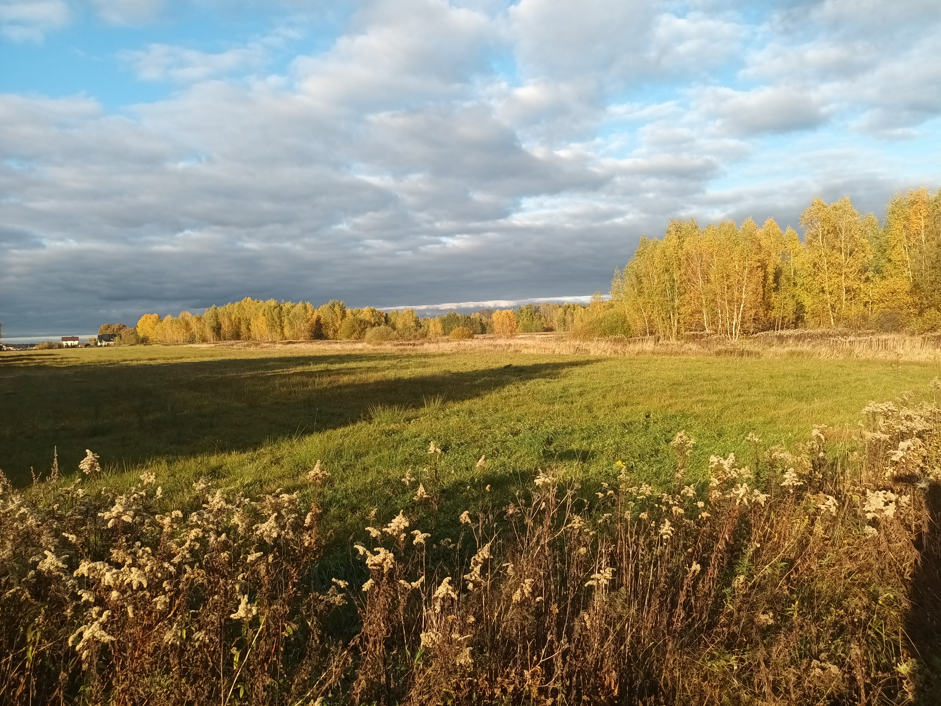 działka w Dziękowizna powierzchnia: 7800 m2, cena: 390000