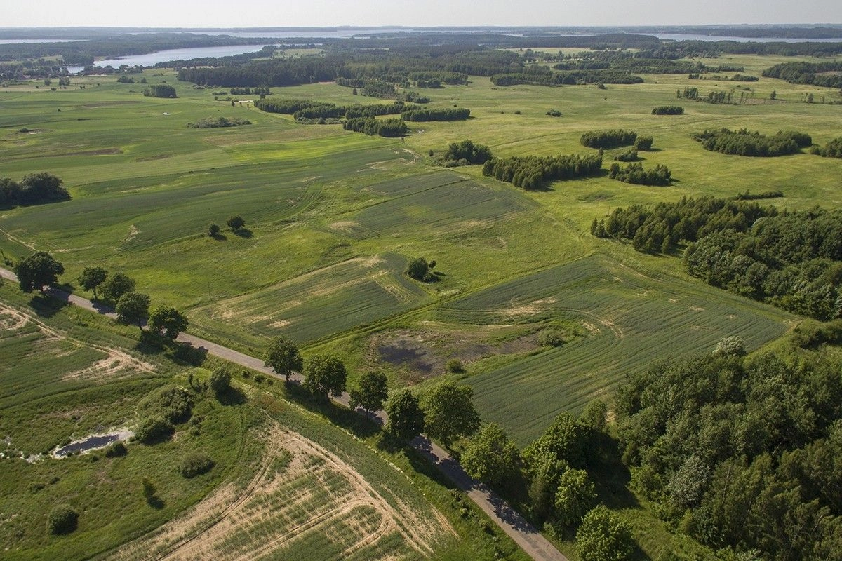 działka w Pozezdrze powierzchnia: 1500 m2, cena: 51000
